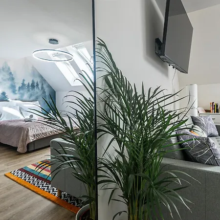 Cozy Forest - Calm - - Stylish براغ